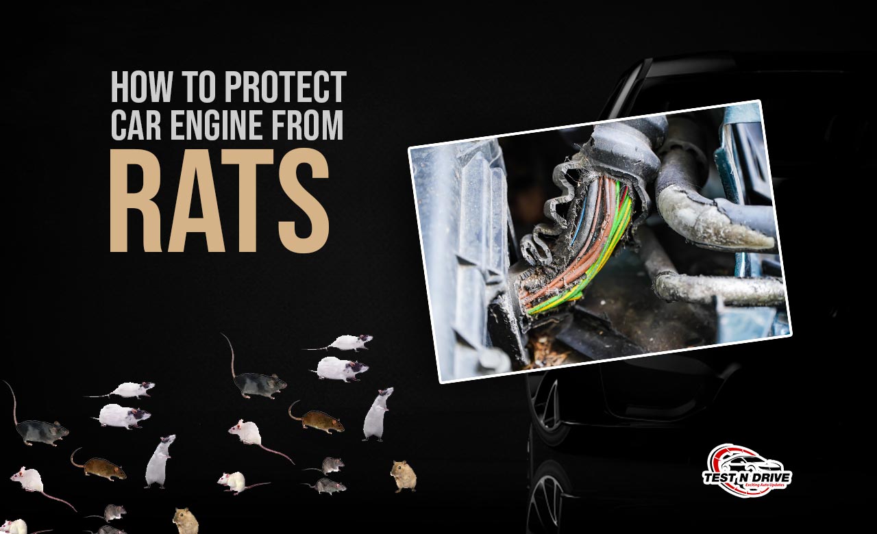 how to protect car engine from rats & mice