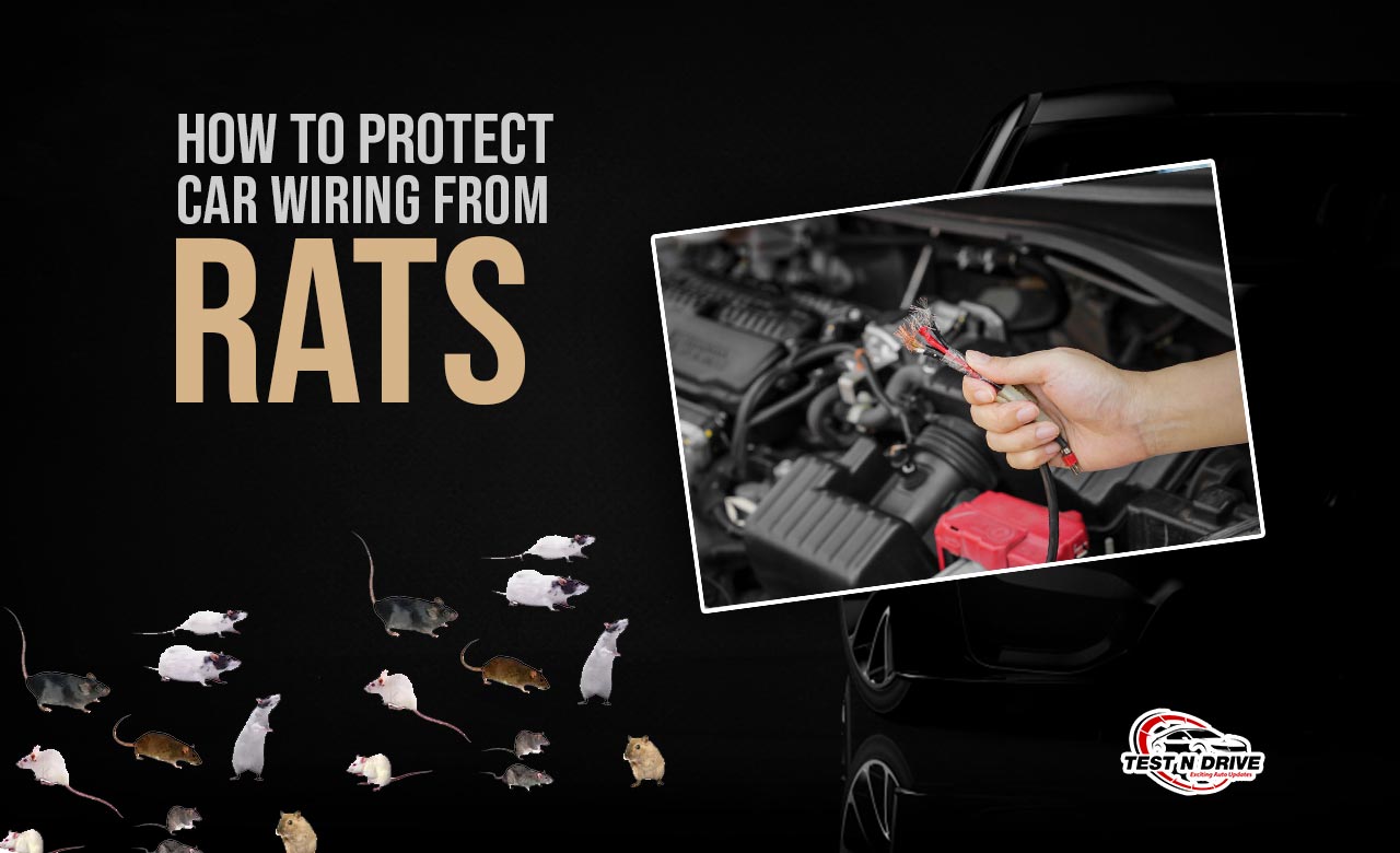 how to protect car wiring from rats and mice