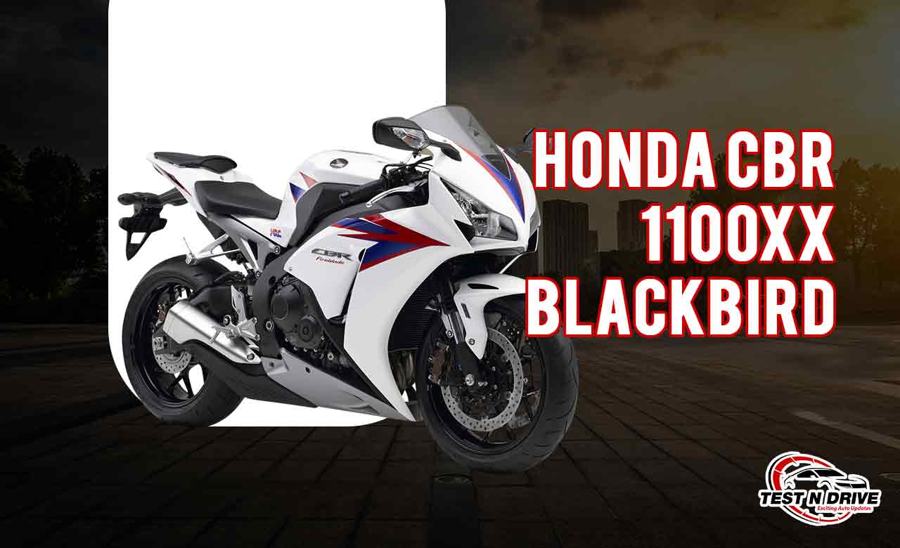 Honda CBR 100XX Blackbird - TestNDrive